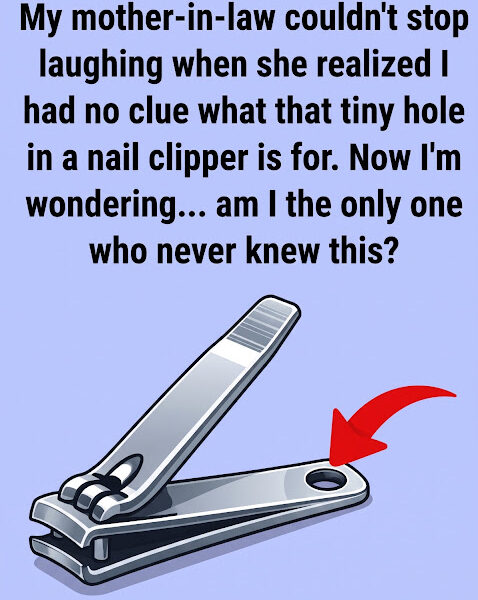 Nail clipper showing the small round attachment hole near the end of the handle.